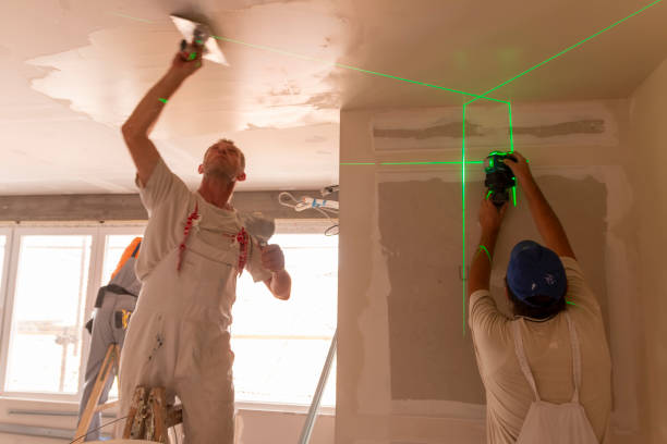 Best Ceiling Drywall Installation  in Seyur, MO